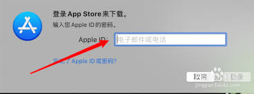 如何高效登录example.com邮箱的详细步骤