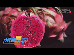火龙果与蜜宝是否同一水果：权威解析