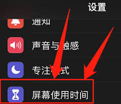 一键解锁苹果手机访问限制：核心步骤详解