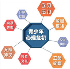 青春少年心灵之旅：诠释青春真谛