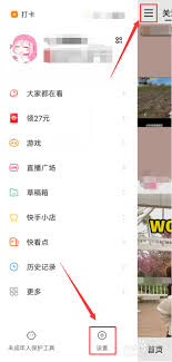 快手查看访客记录的方法指南