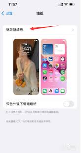 苹果13截屏图无法设为壁纸？解锁壁纸设置新技巧，速来围观！