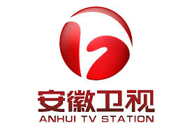 安徽卫视为何被戏称为节操卫视的缘由