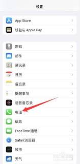 苹果13ProMax高效拦截陌生号码的方法