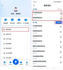 2023年最佳离线翻译软件排行：哪款才是你的翻译神器？