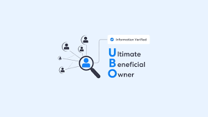 ！高效计算公司UBO的实用方法，提升点击率必备