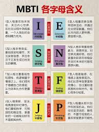 SN含义：深度解析其背后的故事与影响