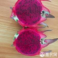 火龙果与密宝果：深入解析两者之间的独特差异