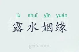 露水姻缘：短暂而迷人的情感邂逅真相