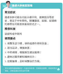 高效神器：安通办是什么？一站式解决您的所有需求！