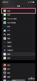 2025年苹果手机黑名单查找方法全解析