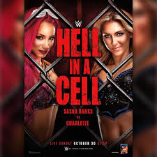 WWE 2013年10月28日地狱牢笼大赛惊爆改编版赛果揭晓