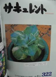 高燃车速，多肉盛宴，沉浸式体验尽在清垣之旅