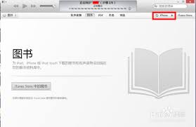 如何在iPhone图书应用中轻松添加本地书籍，打造个性化阅读体