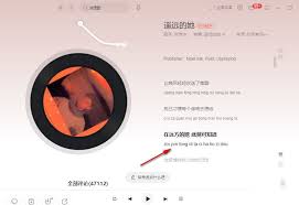 解锁网易云音乐新技能：一键开启歌词音译，唱响国际范儿！
