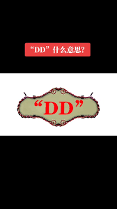 DD网：一站式发现惊喜，尽在这里！