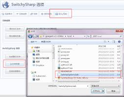 如何打开SwitchyOptions.bak文件