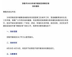 2025年云南弥勒市全城封城真相