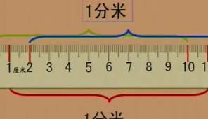 ！135厘米究竟有多长，点击了解惊人视觉对比！