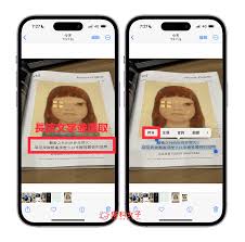 苹果手机一键提取图片文字：高效复制新技巧！