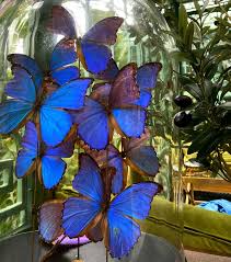 改编Shadow背后的深层暗示探索隐喻与象征意义