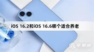 iOS 14.4.2更新：是否适合养老用户的核心改进解析