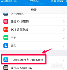 苹果手机如何取消优酷会员自动续费功能
