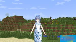 我的世界中国版CustomSteve自定义史蒂夫mod教程全解析