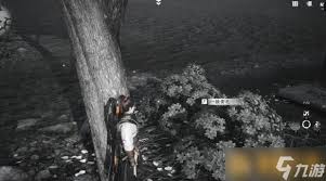 燕云十六声失窃的头坛饮任务攻略：改进做法解析