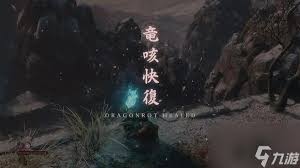 只狼龙咳治疗方法全解析