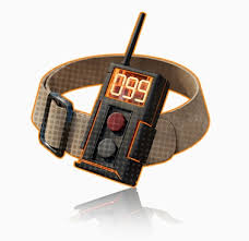 惊爆！异象回声沃吉特技能大，超强能力超乎想象，错过绝对后悔！