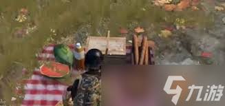 和平精英野餐彩蛋位置大