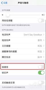 苹果12去哪设置打字声音 启用打字按键声方法介绍