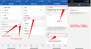 惊爆！Boxjs 安装秘籍大公开，轻松上手超简单！