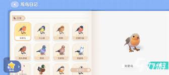 心动小镇鸟类资料卡获取全攻略