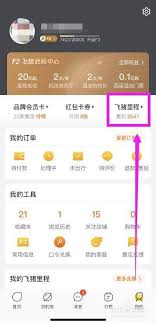 惊爆！飞猪里程在哪看？飞猪查看里程教程一览全知道！