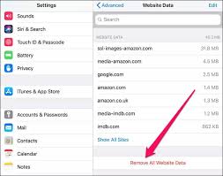 速看！轻松清除iPhone中灰色Safari历史记录的修复方法