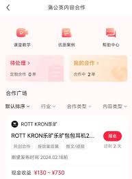 惊爆！小红书发布竟藏赚钱大秘密，速戳如何疯狂捞金！