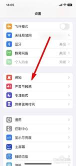 苹果116pro灵动岛设置指南，凸显核心要点助力高效操作