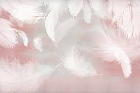 小明竟渴望集齐三根颜色各异的神奇羽毛，背后原因究竟为何？