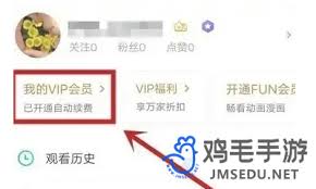 爱奇艺关闭会员自动续费全攻略