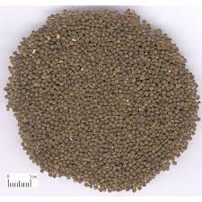 震惊！沙苑子竟有这些超赞食用方法，让你健康加倍！