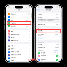 苹果 12 如何开启 volte 功能全解析