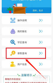 惊爆！爱山东 app 查小学录取结果全攻略，速看教程！