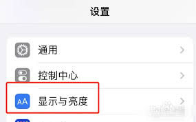 苹果11如何简单快速缩小屏幕，核心步骤全解析