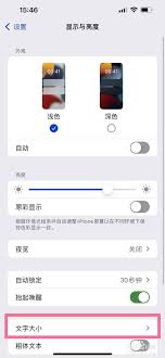惊爆！苹果13pro字体大小设置秘籍大公开，速来围观！