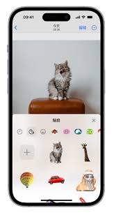 升级iOS 17后实况照片变实况贴纸的方法