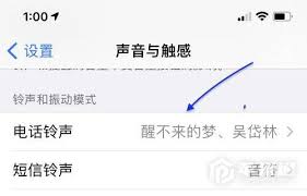 惊爆！如何将自己的歌设置为苹果15手机铃声，超简单教程来了！