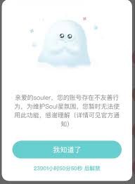 Soul无缘无故被禁言如何解决