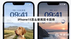 轻松掌握！iPhone双卡双待使用全攻略